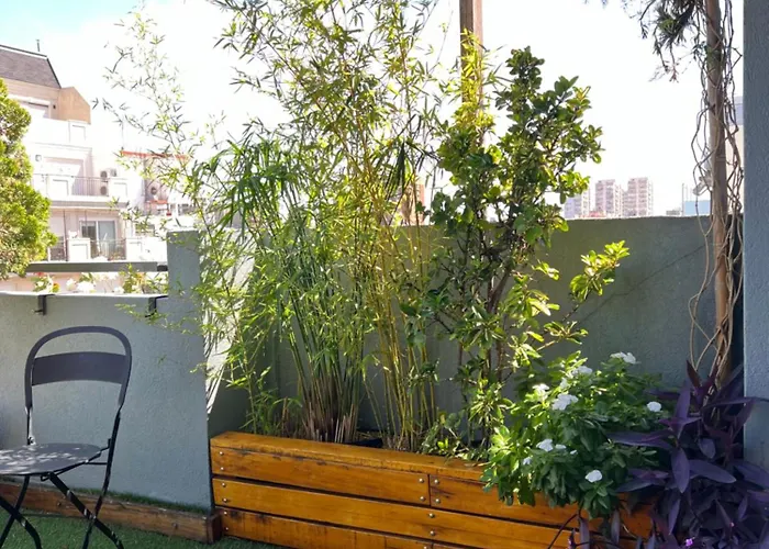 King Studio Odası